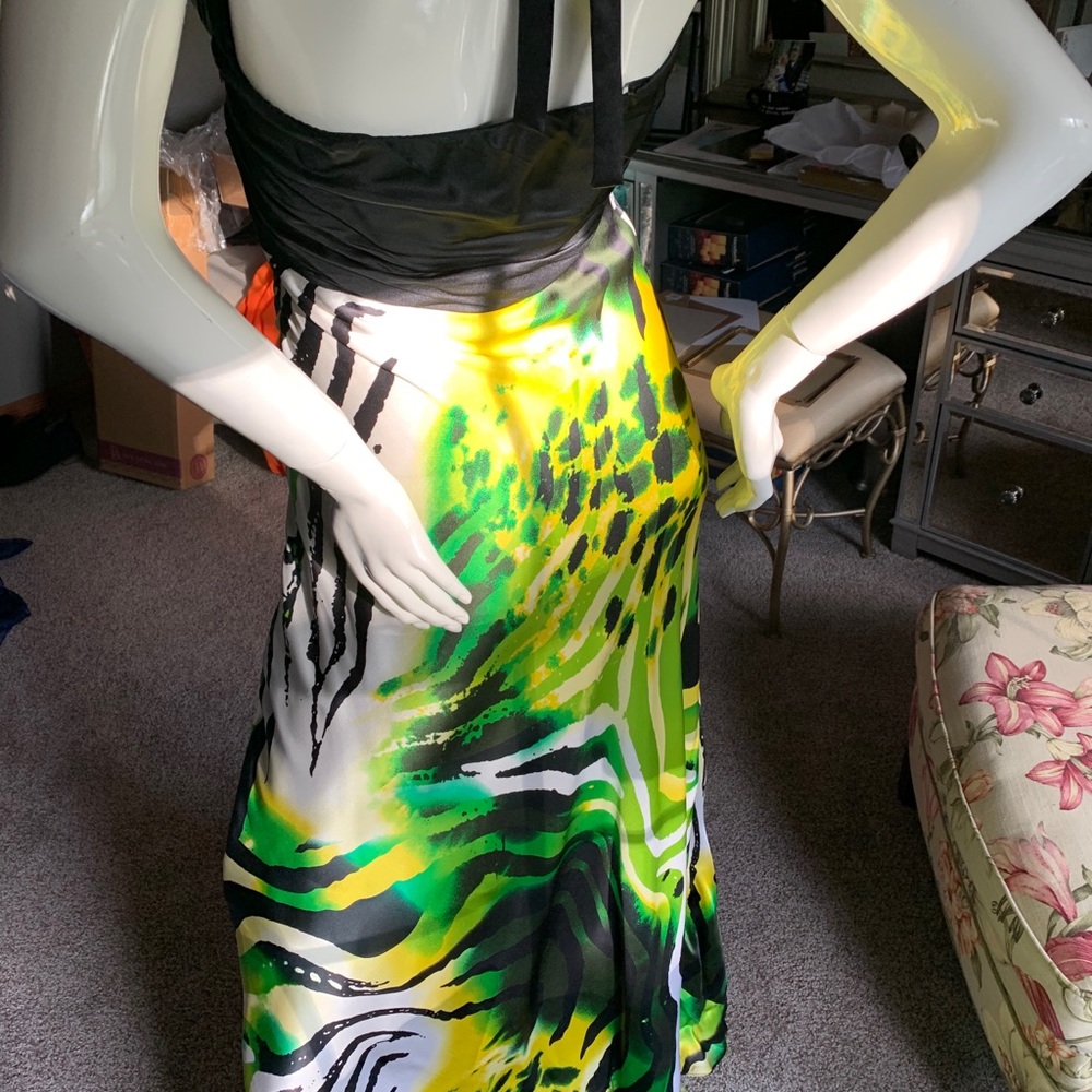 Cache’ Evening/Daytime/Funtime Gown - image 4